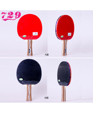 Vợt bóng bàn 729-2020